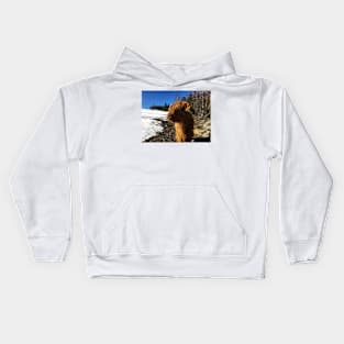 Scottish Highland Cattle Calf 1967 Kids Hoodie